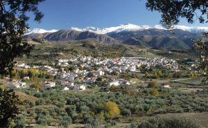 beas de granada